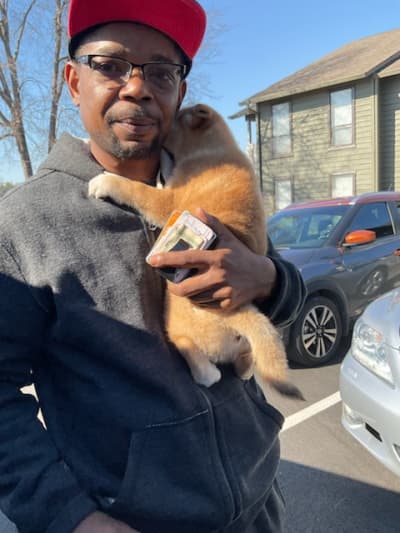 Hector, a Shiba Inu puppy from Pawrade