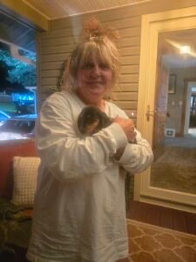 Stephie, a Dachshund, Mini puppy from Pawrade