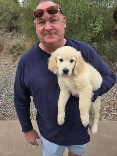 Maria, a Golden Retriever puppy from Pawrade