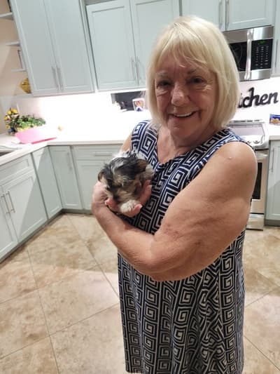 Barbara, a Biewer Terrier puppy from Pawrade