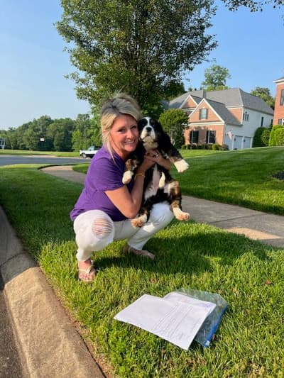 Opal, a Mini Bernese puppy from Pawrade