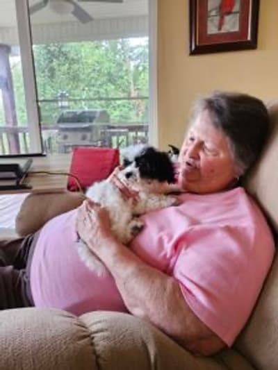 Jiminy, a Bich-Poo - Bichpoo puppy from Pawrade