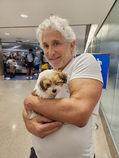 Conrad, a Havanese puppy from Pawrade