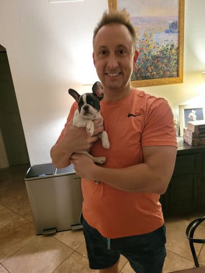 Daffodil, a French Bulldog puppy from Pawrade