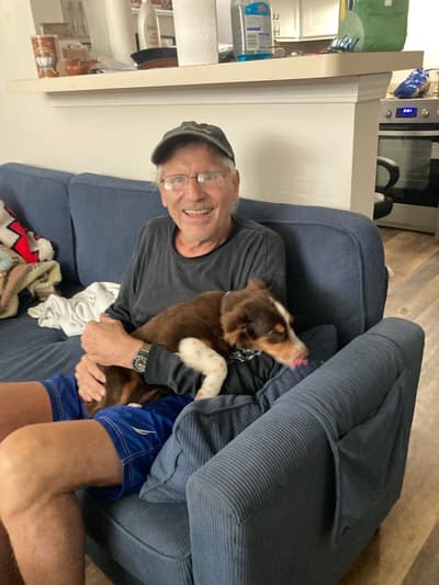 Felicity, a Miniature Australian Shepherd puppy from Pawrade