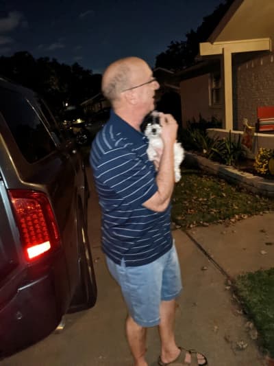 Bella, a Poodle, Miniature puppy from Pawrade
