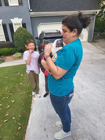 Cash, a Boston Terrier puppy from Pawrade