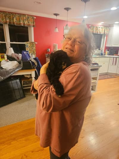 Aurora, a Cavapoo puppy from Pawrade