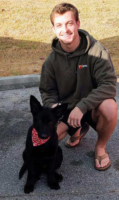 Patterson, a German Shepherd puppy from Pawrade