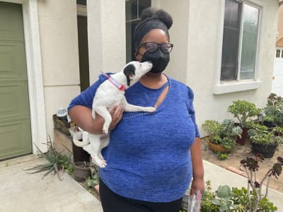 Zena, a Jack Russell Terrier puppy from Pawrade