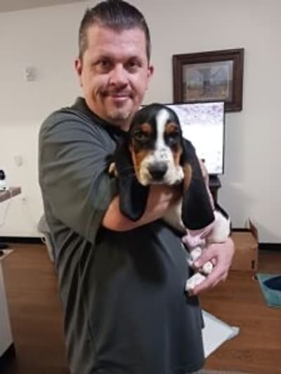 Landon, a Basset Hound puppy from Pawrade