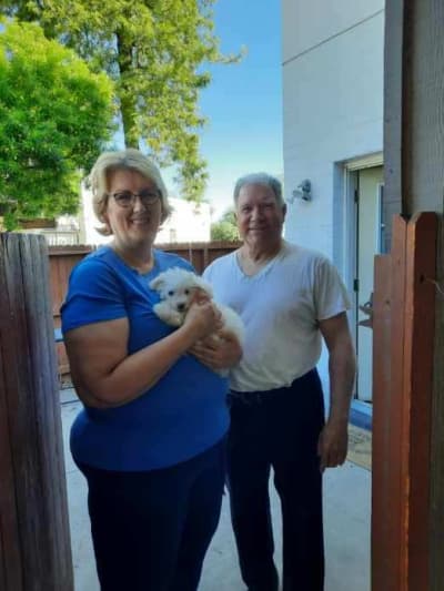 Gracie, a Bichon Frise puppy from Pawrade