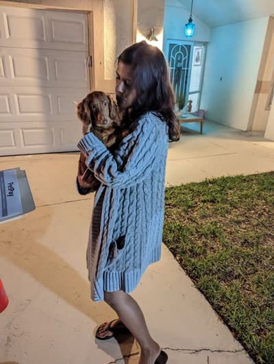 Ryder, a Dachshund puppy from Pawrade