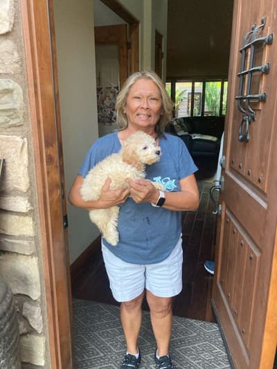 Tori, a Goldendoodle, Mini puppy from Pawrade