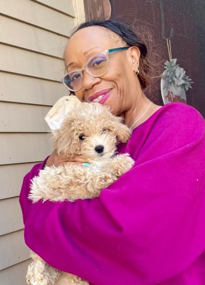 Harlow, a Cavapoo puppy from Pawrade