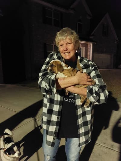 Bedelia, a English Bulldog puppy from Pawrade