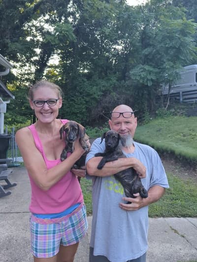 Valorie, a Dachshund, Smooth puppy from Pawrade
