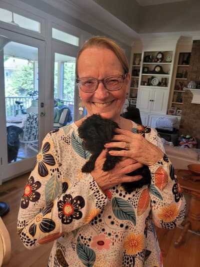 Mona, a Morkie / Yorktese puppy from Pawrade