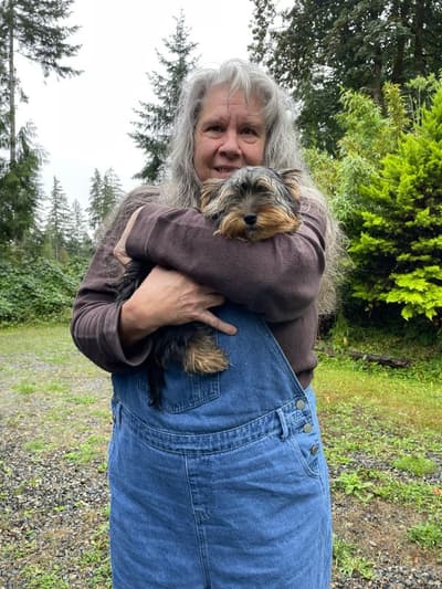 Willa, a Yorkshire Terrier - Yorkie puppy from Pawrade