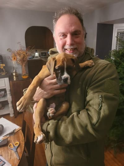 Coco, a Boxer puppy from Pawrade