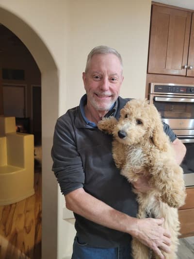 Lizette, a Goldendoodle puppy from Pawrade