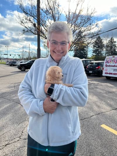 Lolly, a Malti Poo - Maltipoo puppy from Pawrade