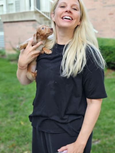 Coral, a Dachshund, Mini puppy from Pawrade