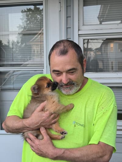Alfredo, a Pomeranian puppy from Pawrade