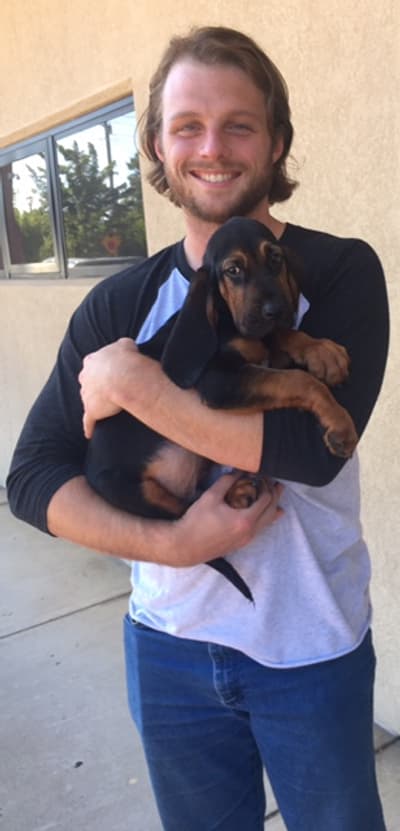 Viper, a Bloodhound puppy from Pawrade