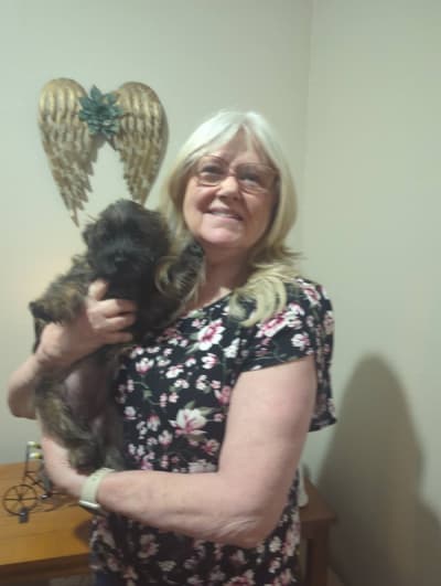 Casey, a Cairn Terrier puppy from Pawrade