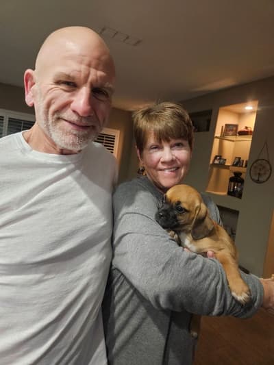 Imani, a Puggle puppy from Pawrade