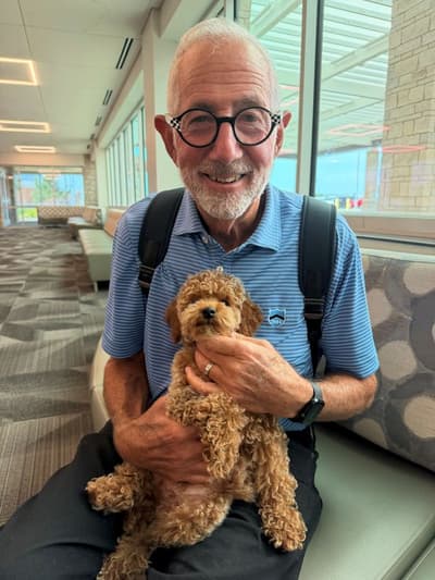 Dusty, a Poodle, Miniature puppy from Pawrade