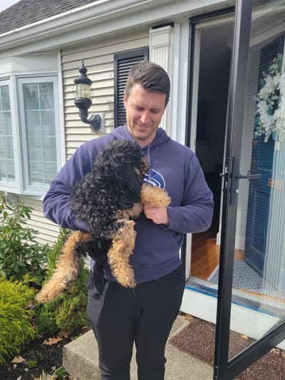 Abe, a Cavapoo puppy from Pawrade