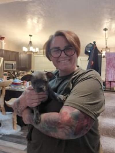 Aria, a Frenchton puppy from Pawrade
