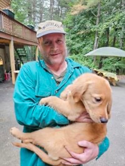 Nicholas, a Golden Retriever puppy from Pawrade