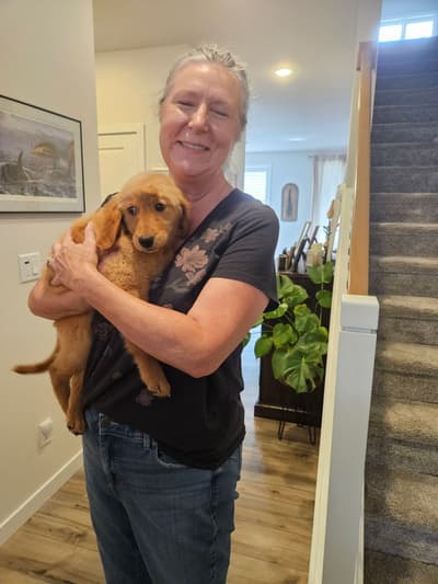 Bella, a Golden Retriever puppy from Pawrade