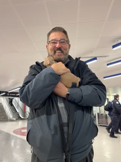 Deborah, a French Bulldog puppy from Pawrade