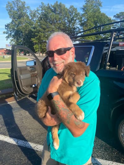 Boomer, a Australian Shepherd puppy from Pawrade
