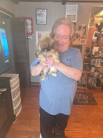 Zelda, a Shih Tzu puppy from Pawrade