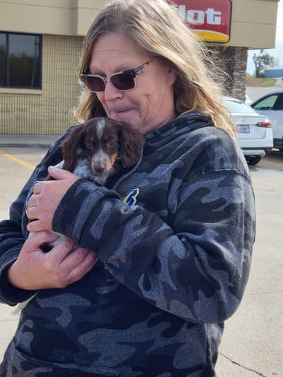 Melina, a Dachshund, Mini puppy from Pawrade