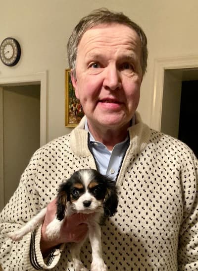 Lilliana, a Cavalier King Charles Spaniel puppy from Pawrade