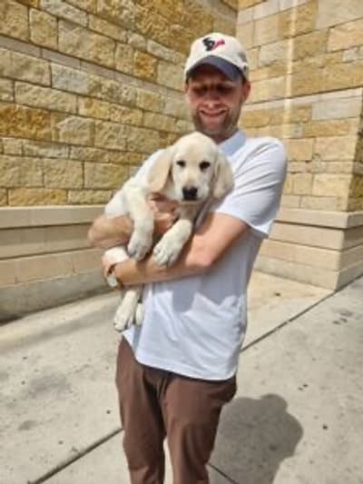 Jolene, a Labrador Retriever puppy from Pawrade