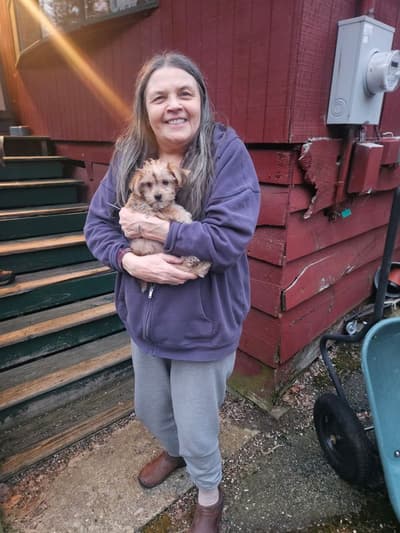 Simba, a Yorkiepoo - Yorkie Poo puppy from Pawrade