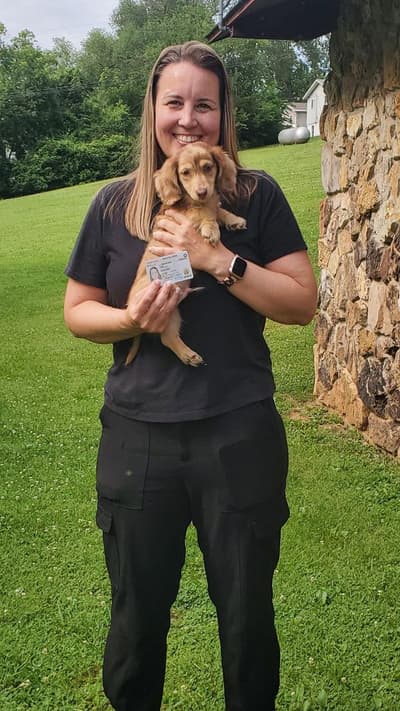 Lynx, a Dachshund, Mini puppy from Pawrade