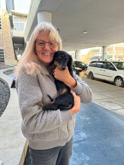 Valerie, a Dachshund, Mini puppy from Pawrade