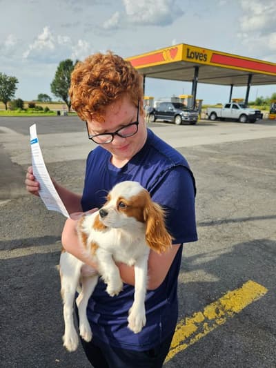 Gris, a Cavalier King Charles Spaniel puppy from Pawrade