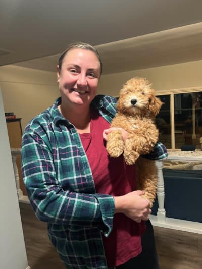 Jordan, a Cavapoo puppy from Pawrade