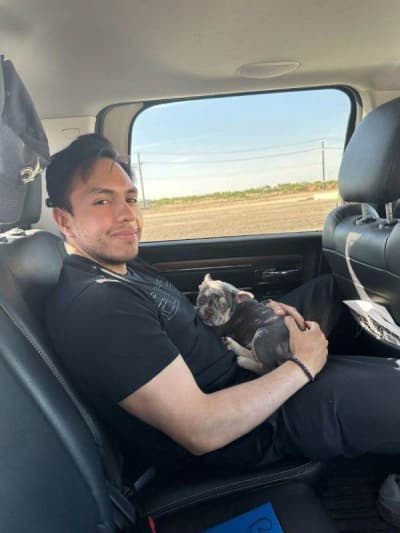 Barlow, a French Bulldog puppy from Pawrade