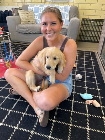 Minnie, a Golden Retriever puppy from Pawrade