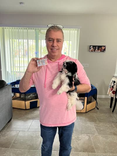 Iris, a Shih Tzu puppy from Pawrade